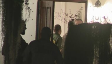 Men found dead in apparent South Miami murder-suicide, sheriff's office says