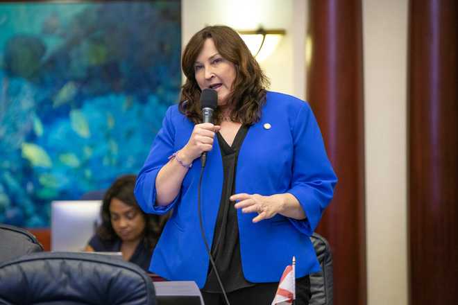 CHRISTINE HUNSCHOFSKY christine hunschofsky, Florida House of Representatives, District 95, Democrat
