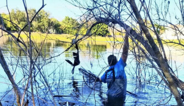 Proposed Coquina Park kayak zone heads to committee