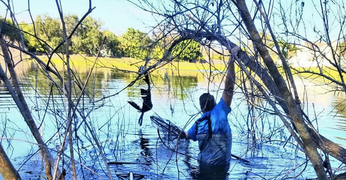 Proposed Coquina Park kayak zone heads to committee