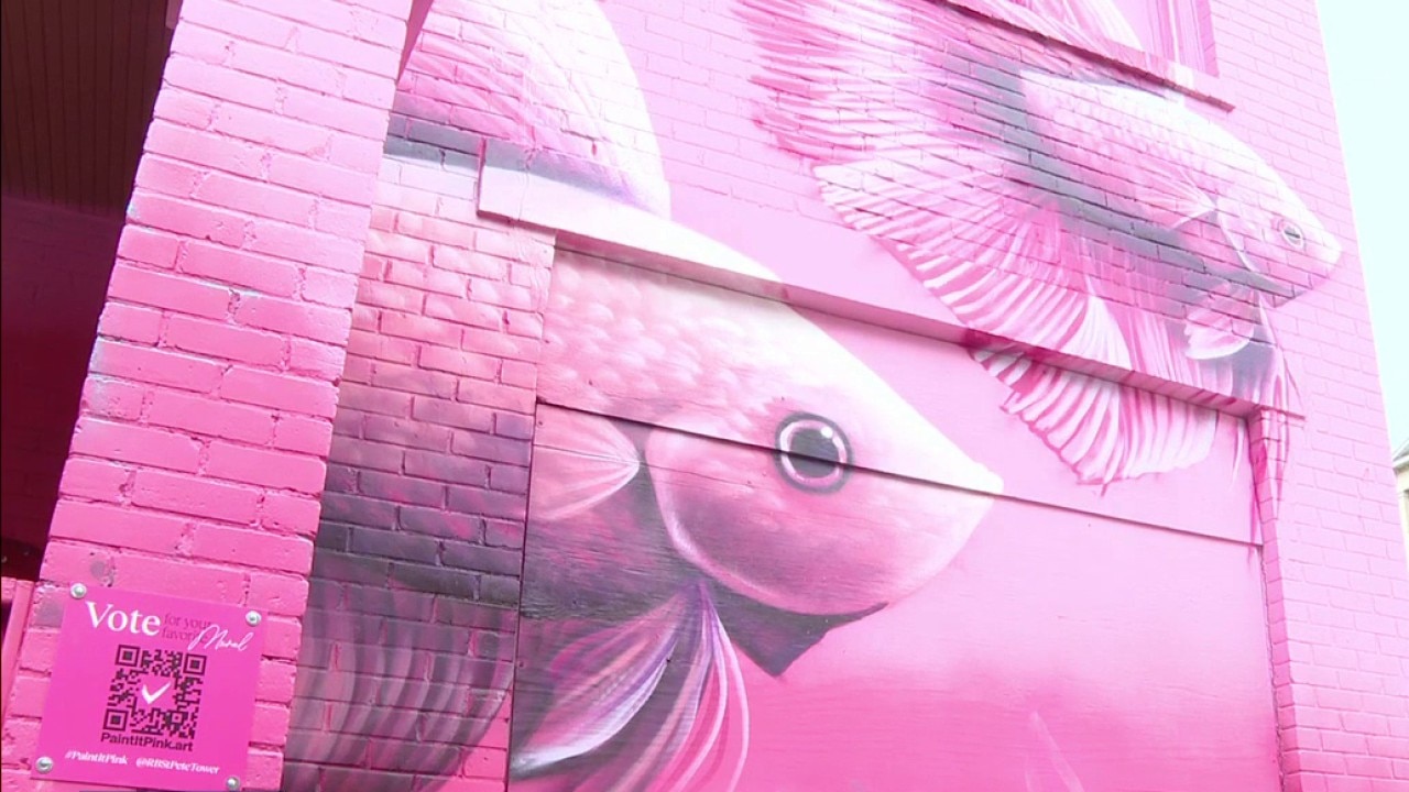 "Paint It Pink" showcases art in St. Petersburg