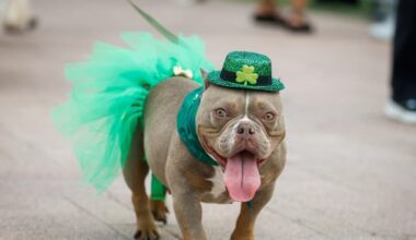 Yahoo lifestyle home