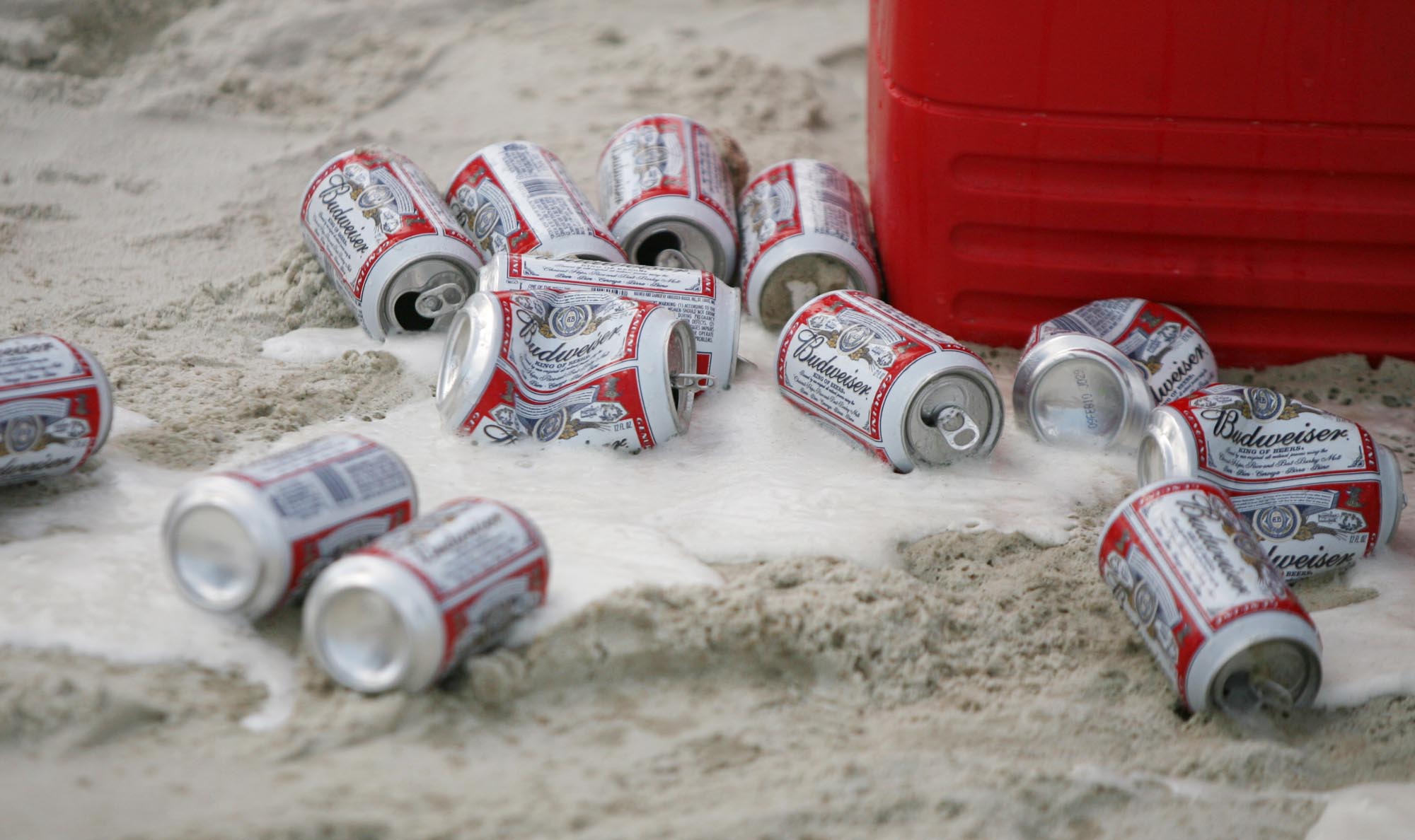 These cold beers are the casualties of a bust by...
