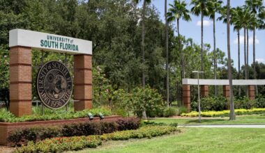 University of South Florida research funding climbs 15%, fueling key advances