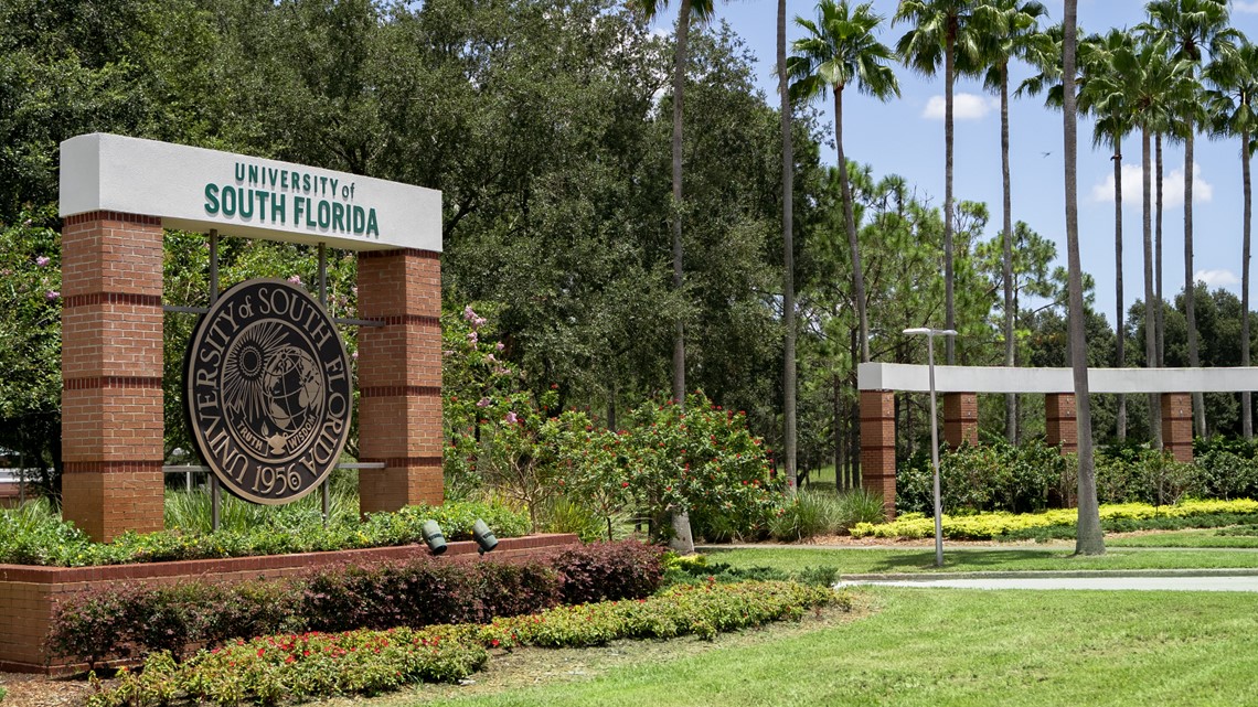 University of South Florida research funding climbs 15%, fueling key advances