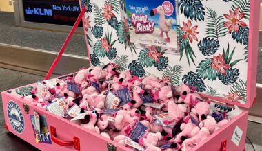 A tiny, pink bird is surprising spring break travelers at Tampa International Airport