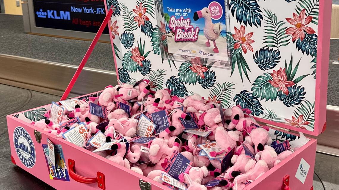 A tiny, pink bird is surprising spring break travelers at Tampa International Airport