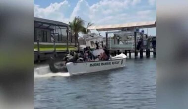 Mother and baby manatee rescued in Cape Coral canal after boat strike