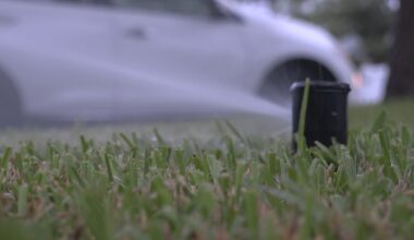 Hillsborough County takes first steps to restrict lawn watering year-round