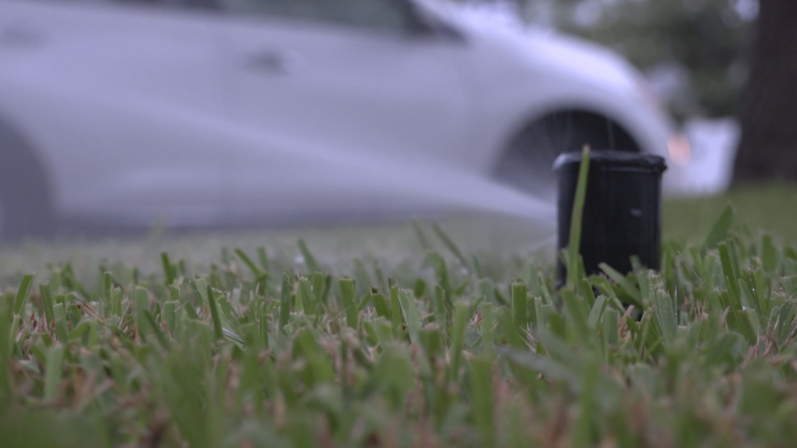 Hillsborough County takes first steps to restrict lawn watering year-round