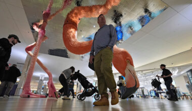 Impact unclear for Tampa Bay airports as Trump says ICE to assist TSA amid partial govt. shutdown