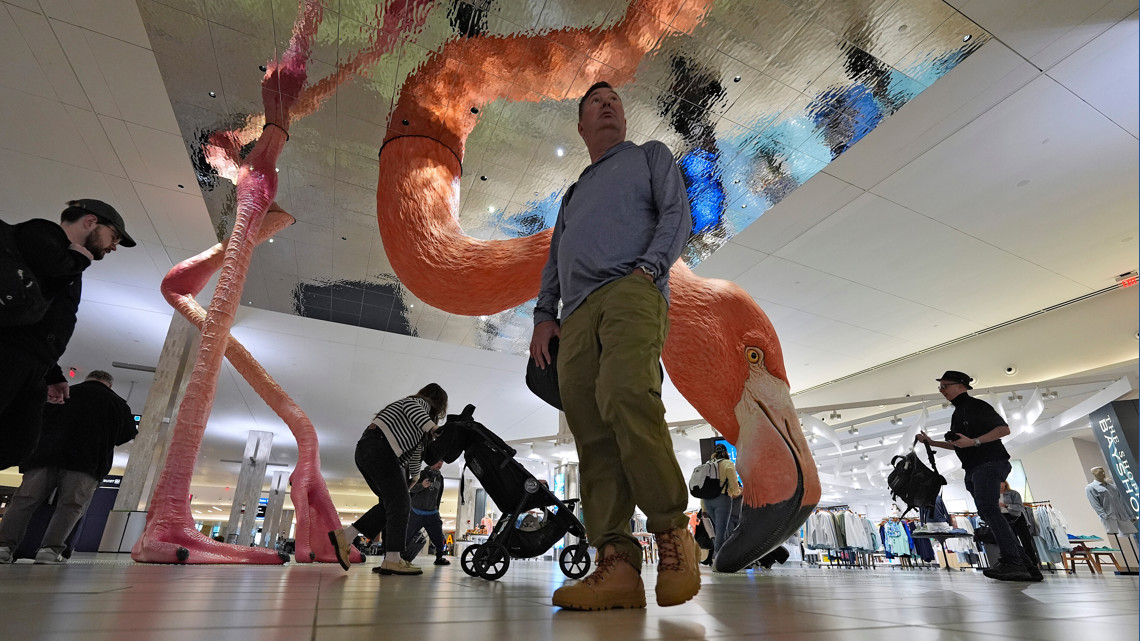 Impact unclear for Tampa Bay airports as Trump says ICE to assist TSA amid partial govt. shutdown