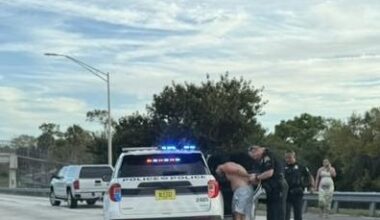 Man Accused of Damaging Cars With Hammer Before Fleeing Police at High Speed in St. Petersburg