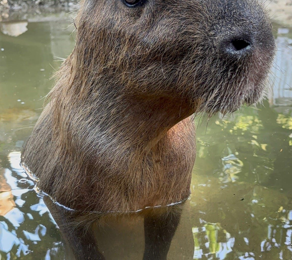 Yahoo lifestyle home