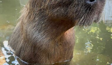 Yahoo lifestyle home