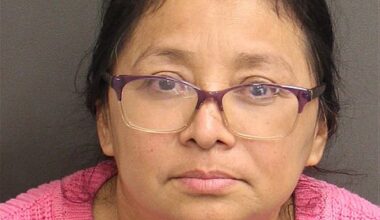 Ocoee woman faces felony charges after hit-and-run