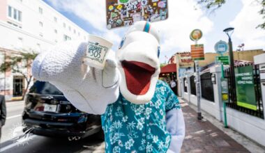 Dolphins celebrate 305 Day with Verizon