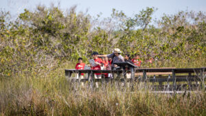 Park rangers lead students through different Everglades habitats. (Everglades NPS, Public domain, via Wikimedia Commons