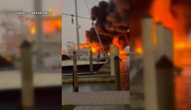 VIDEO: Multi-vessel fire in Tampa sends plume of smoke into the air