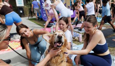 Gator Service Dogs hosts first puppy yoga event under new club name