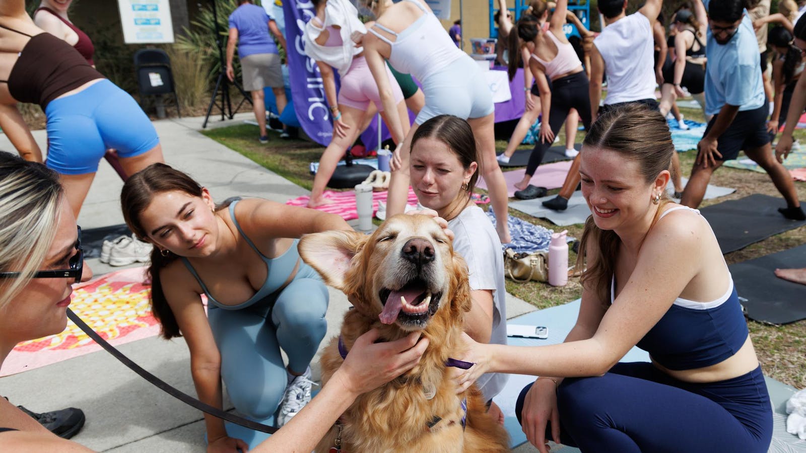 Gator Service Dogs hosts first puppy yoga event under new club name
