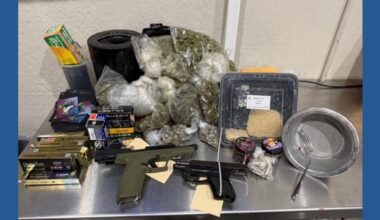 Hillsborough County Sheriff's Office arrests eight-time convicted felon during gang investigation