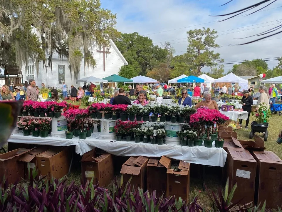 Hundreds of plants from local nurseries and garden club members are offered for sale.