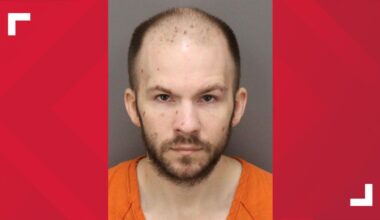 St. Pete man accused of killing 7-year-old dog after throwing, attacking her