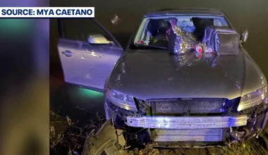 Florida couple's car spins into pond from hit-and-run impact: 'Thankful to be alive'