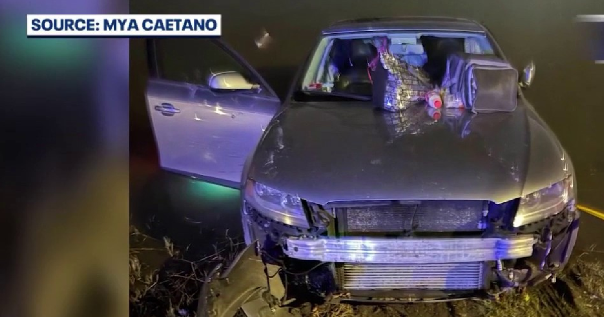 Florida couple's car spins into pond from hit-and-run impact: 'Thankful to be alive'