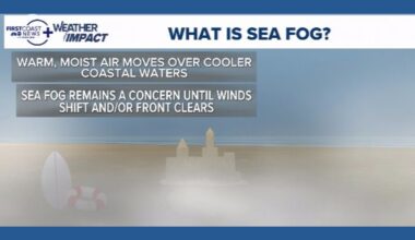 What is sea fog and why is it so stubborn on the coast?