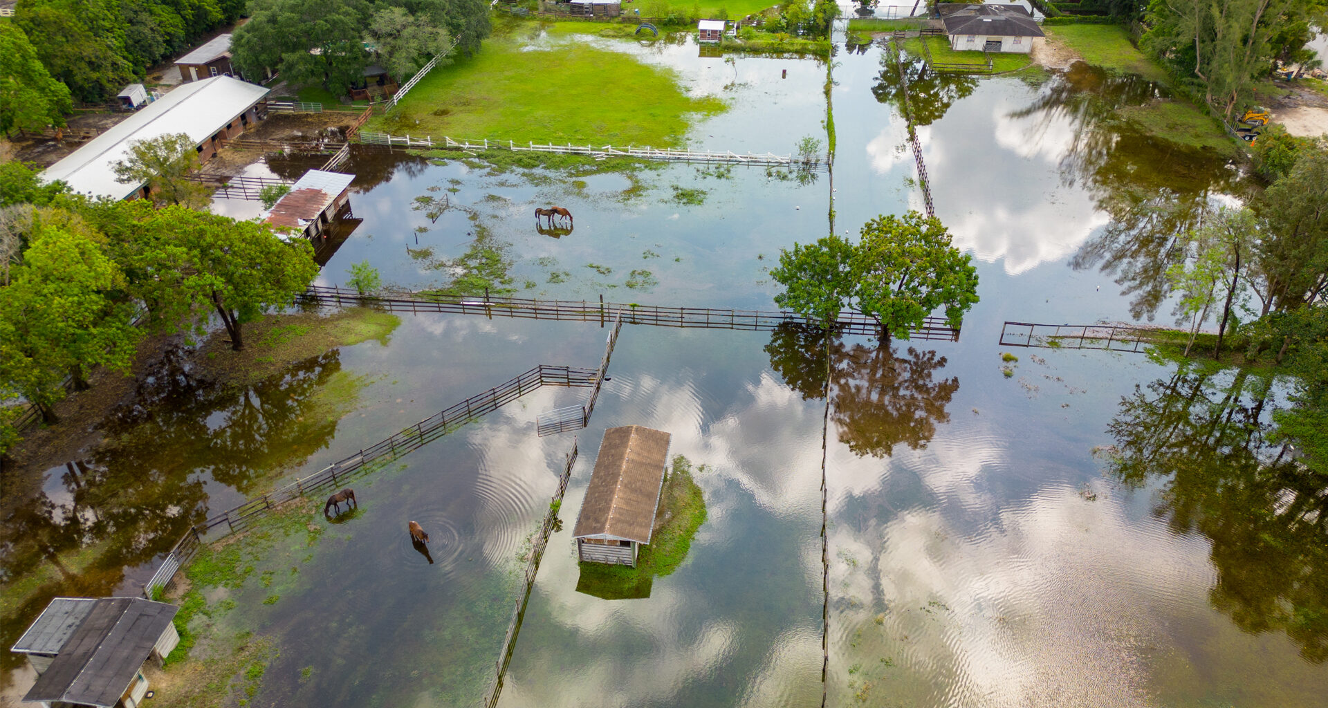 Florida farmers face rising climate risks from extreme weather 