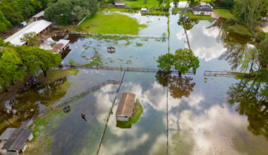 Florida farmers face rising climate risks from extreme weather 