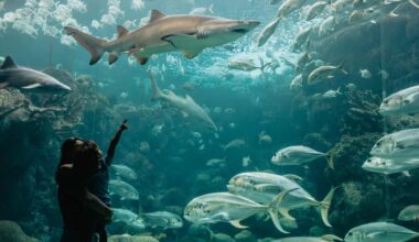 Animals at an aquarium