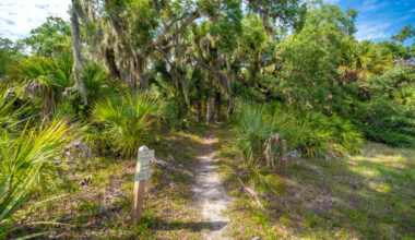 An open letter to the Legislature: 5 reasons to fully fund Florida Forever 