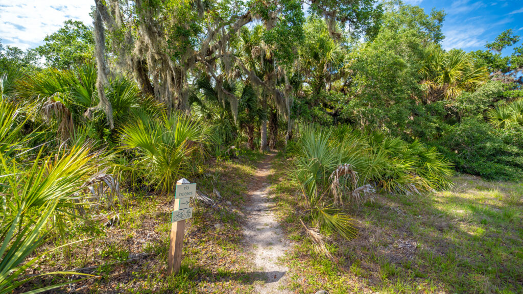 An open letter to the Legislature: 5 reasons to fully fund Florida Forever 