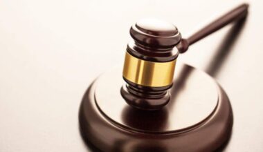 Man pleads guilty to sharing videos of monkeys being tortured