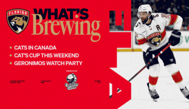 What’s Brewing: Cats in Canada; Cat’s Cup this Weekend