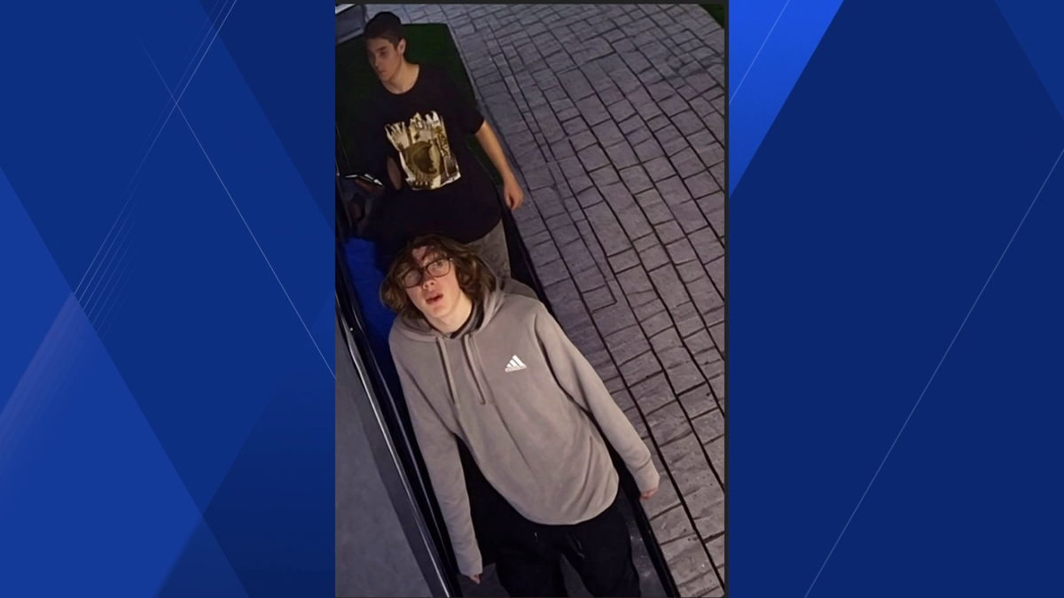 Family Initiative, Inc. seeks information on suspects in Cape Coral break-in attempt