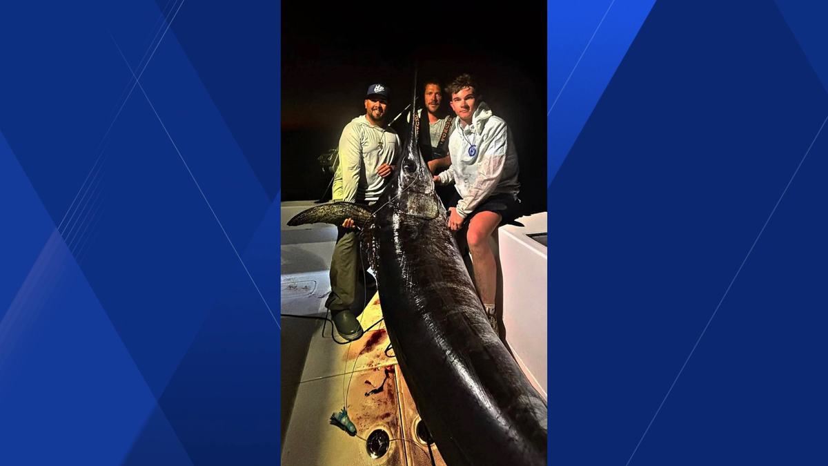 Florida boat captain catches nearly 500-pound swordfish