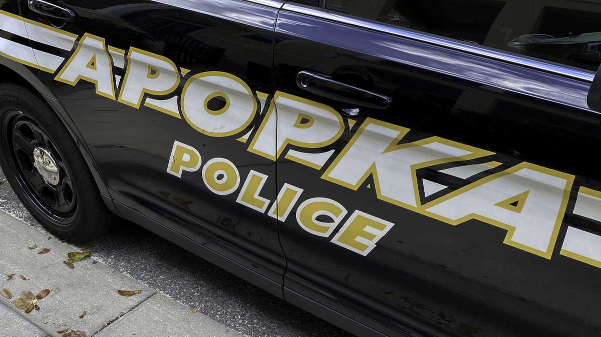 Florida woman with rifle arrested after pointing it at woman, child: PD