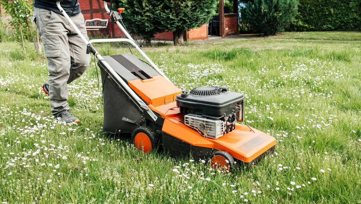 'Uber for lawn care' launches in Central Florida