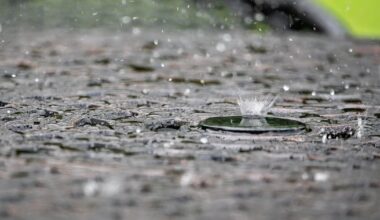 South Florida Water Management District lift water shortage warning for Miami-Dade, Monroe counties