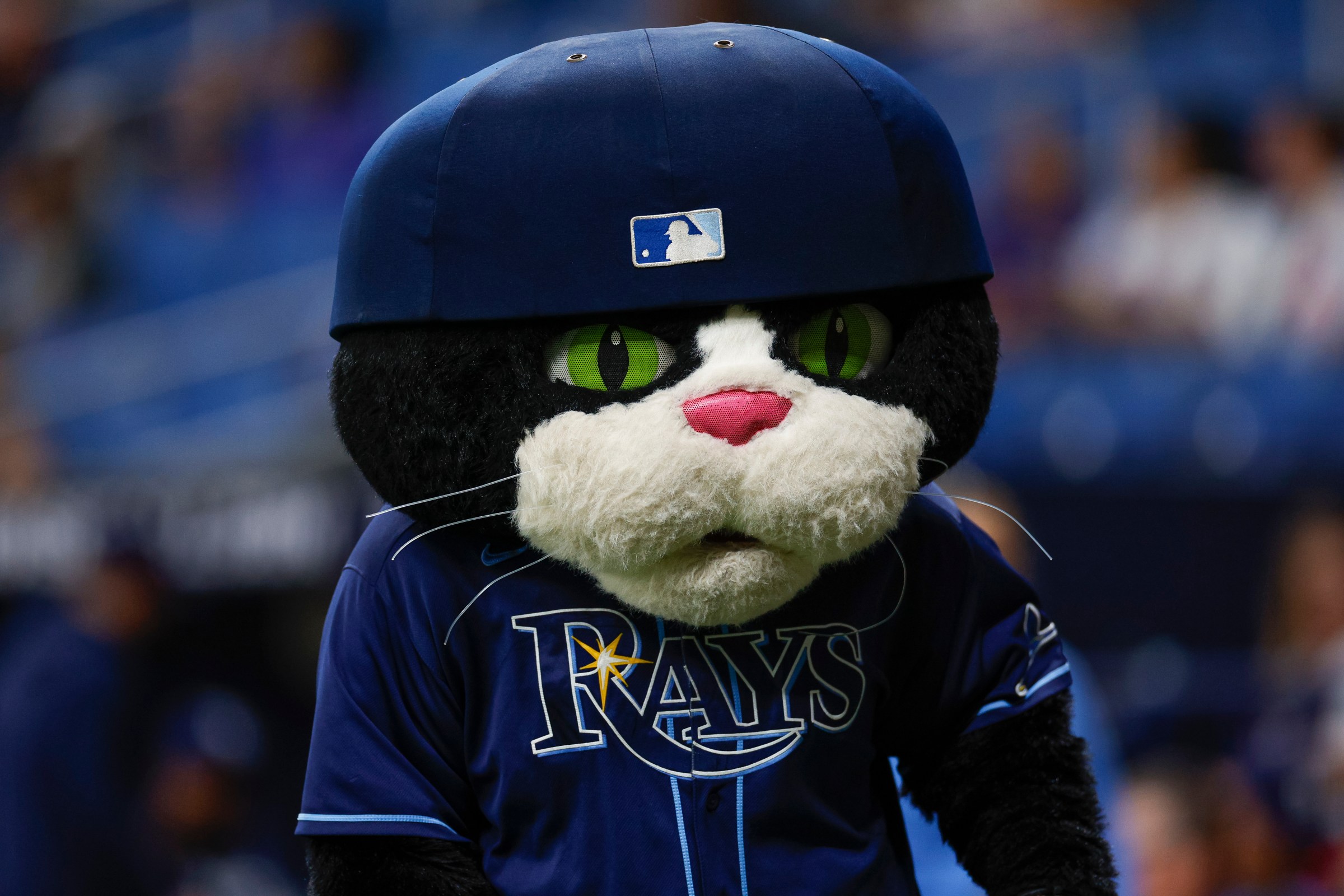 ST PETERSBURG, FLORIDA - JUNE 11: Mascot DJ Kitty of the Tampa Bay Rays entertains prior to a game against the Chicago Cubs at Tropicana Field on June 11, 2024 in St Petersburg, Florida. (Photo by Brandon Sloter/Image Of Sport/Getty Images)
