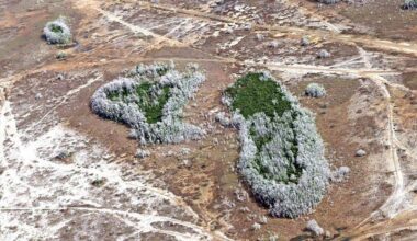 New water restrictions for West Florida, Tampa amid worst drought in last 25 years