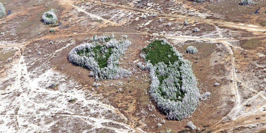 New water restrictions for West Florida, Tampa amid worst drought in last 25 years