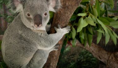 Zoo Miami closes for second day in a row due to bomb threat, will reopen Sunday with added security