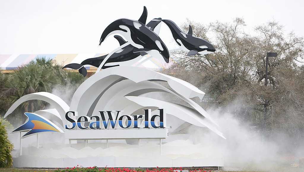 DOJ sues SeaWorld's parent company over ban on wheeled walkers