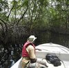 Mangroves protect communities from storms. Half are at risk of collapse, report finds