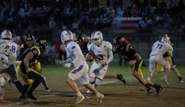 The Turin Jaguars are superior. And the Eagles surrender